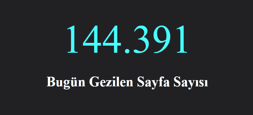 Bugünkü Sayfa Görüntüleme