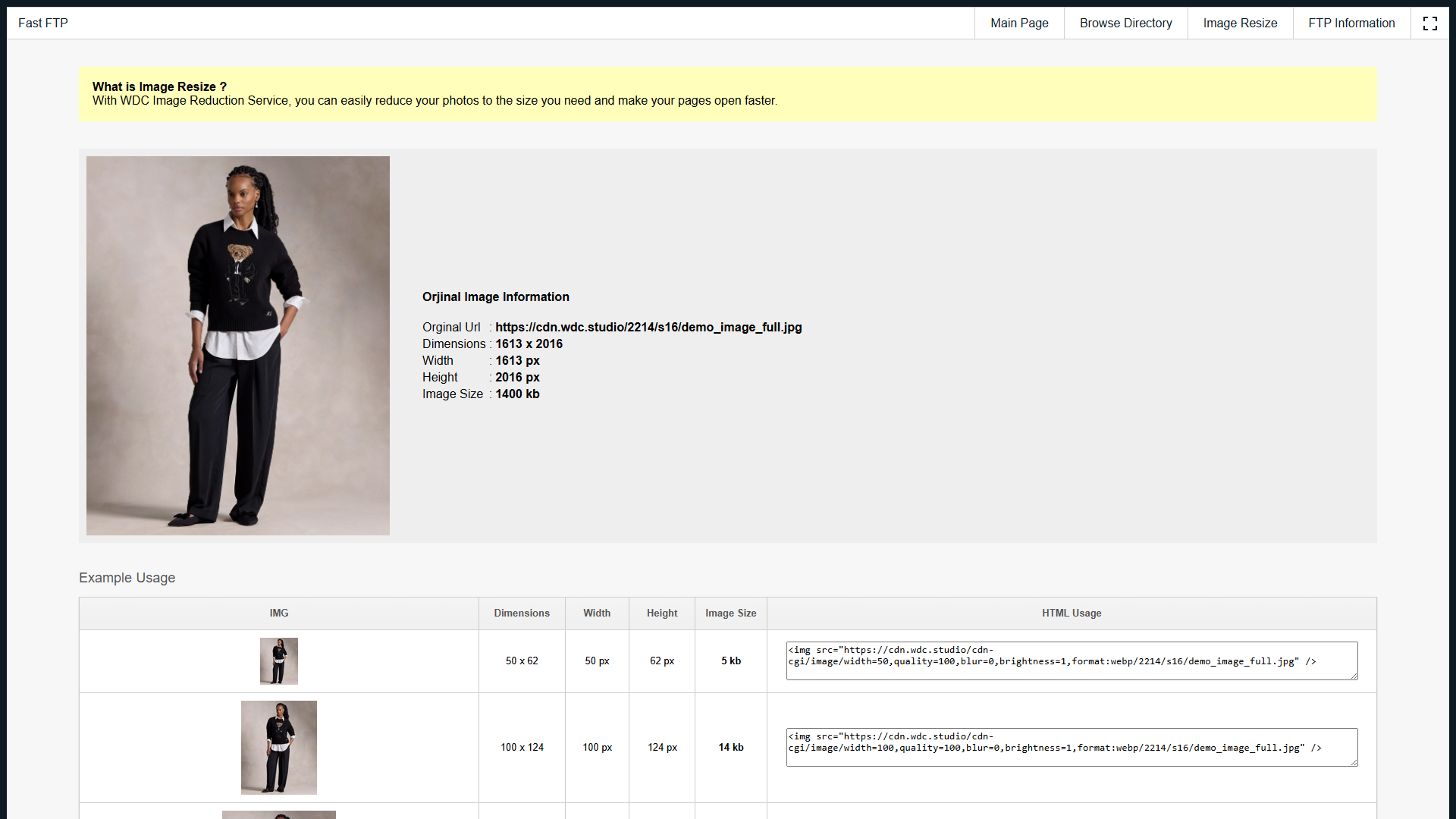 Fast FTP — Folder View